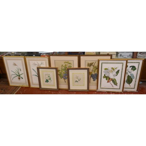 489 - Collection of botanical prints