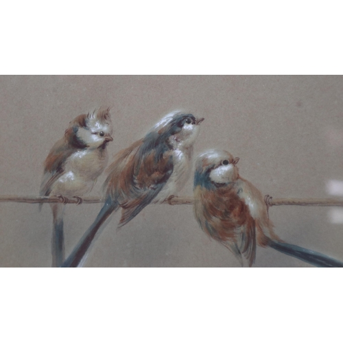 298 - Ornithological watercolour study by Frank Dobson monogrammed FD - Approx image size 33cm x 15cm
