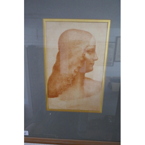 537 - Print of female bust