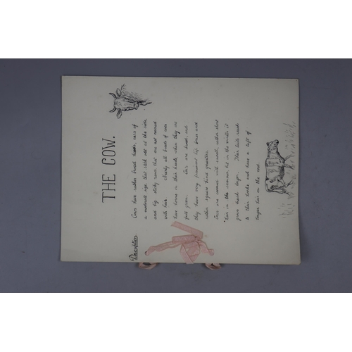 85 - 6 original Dora Barrett 'RA' hand drawn/written stories of farm animals