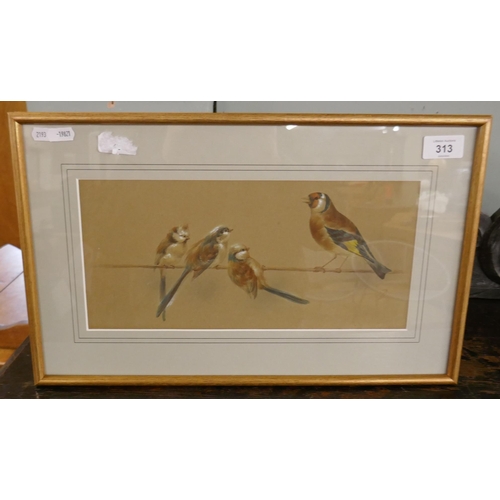 313 - Ornithological watercolour study by Frank Dobson monogrammed FD - Approx image size 33cm x 15cm