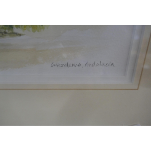 319 - Framed watercolour of Andalucia