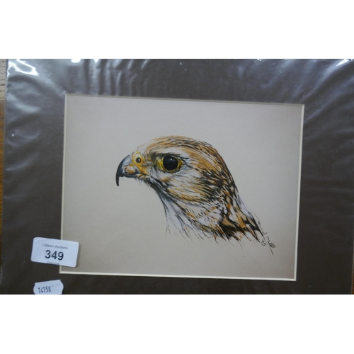 349 - Collection of mounted animal prints