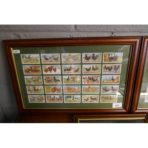 474 - Collection of framed cigarette cards