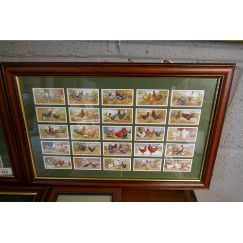 474 - Collection of framed cigarette cards