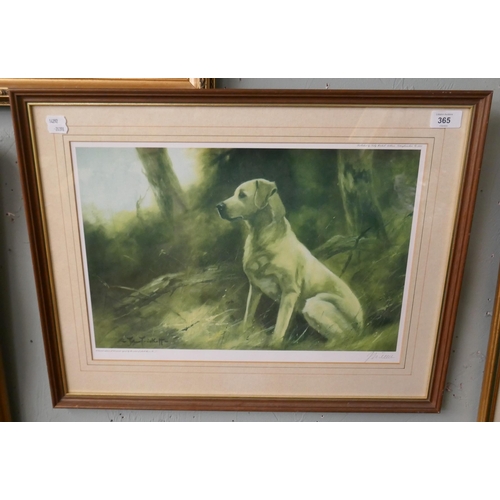 365 - Signed L/E John Tricket print - Yellow labrador