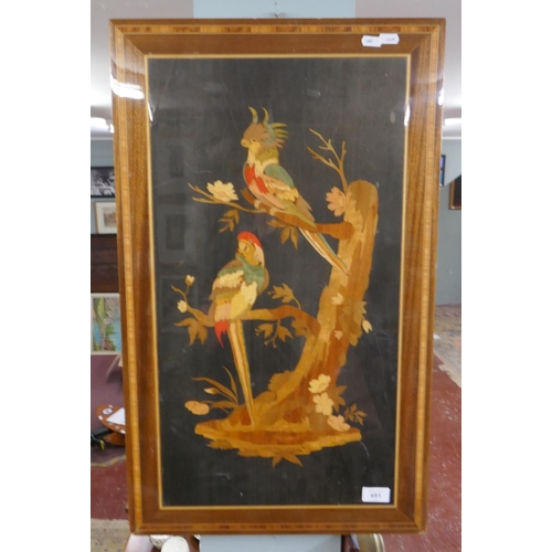 491 - Inlaid marquetry panel depicting parrots