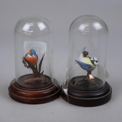 173 - 2 miniature hand painted birds in glass domed cases