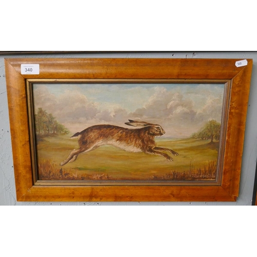 340 - Oil on board of a hare signed Townsend - Approx 42cm x 22cm