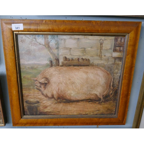 341 - Oil on board of a pig signed Townsend - Approx 40cm x 34cm