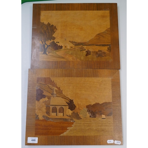 446 - 2 wooden marquetry pictures 