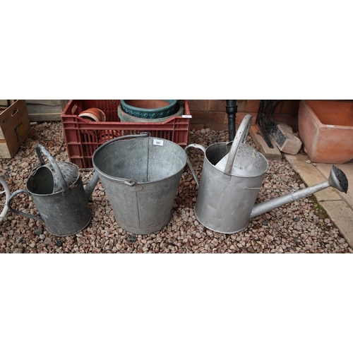 557 - 2 galvanised watering cans and a bucket