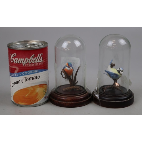 173 - 2 miniature hand painted birds in glass domed cases