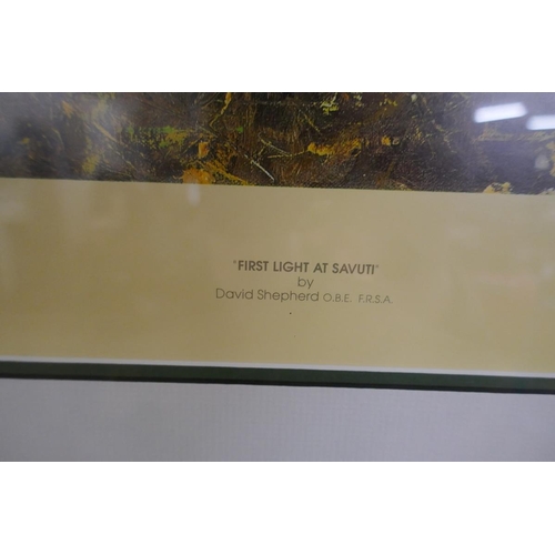 431 - David Shepherd L/E Print FIRST LIGHT AT SAVUTI (191/1500)