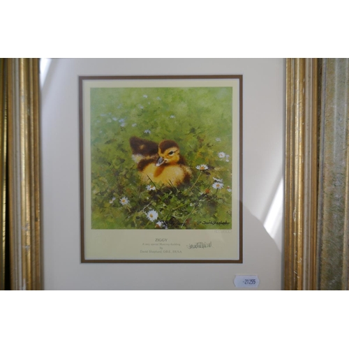 434 - Collection (5) of David Shepherd signed L/E Prints featuring animals from British Isles