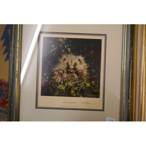 434 - Collection (5) of David Shepherd signed L/E Prints featuring animals from British Isles