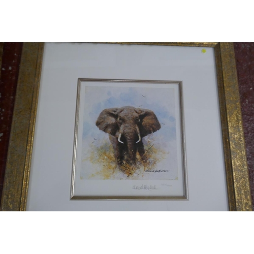 442 - Collection (7)of signed David Shepherd L/E Prints - featuring African animals