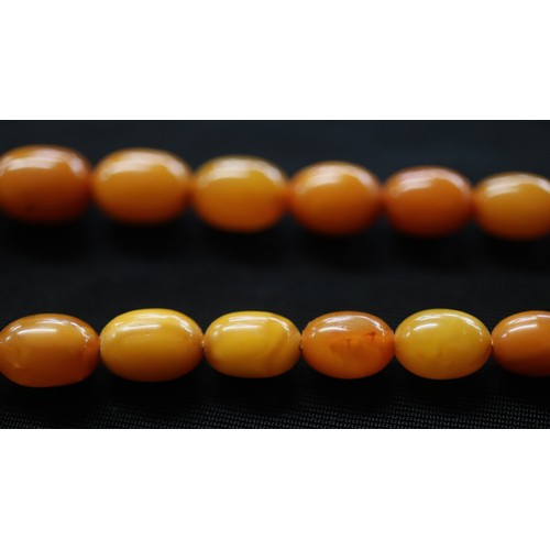 82 - Amber necklace A/F