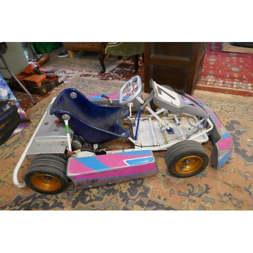 219 - Children’s electric kart