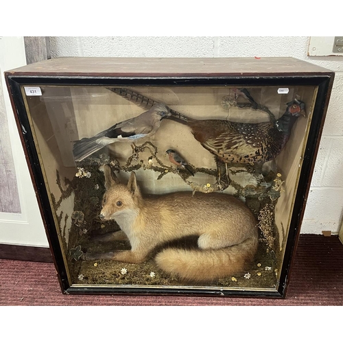 431 - Taxidermy in display case