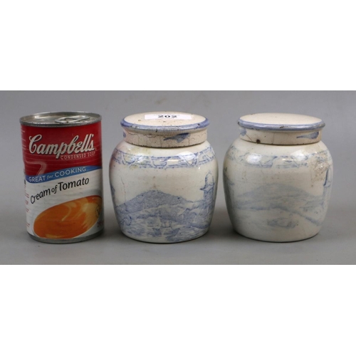 202 - Pair of early blue and white ginger jars