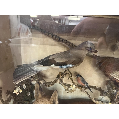 431 - Taxidermy in display case