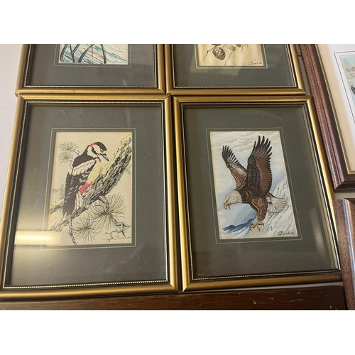558 - Large collection of Cash's framed silks