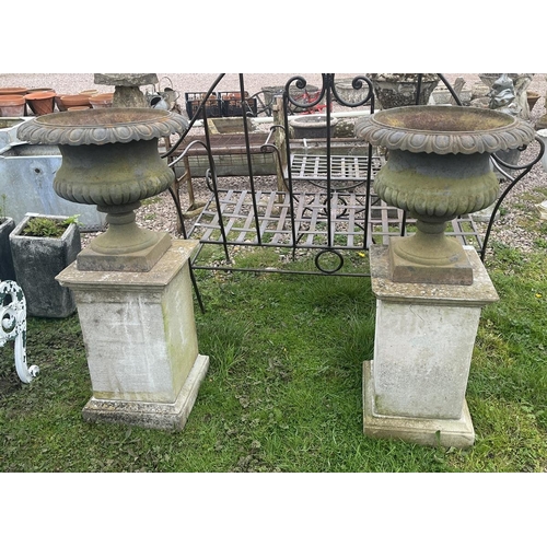 118 - Pair of cast iron pedestal planters on stone bases