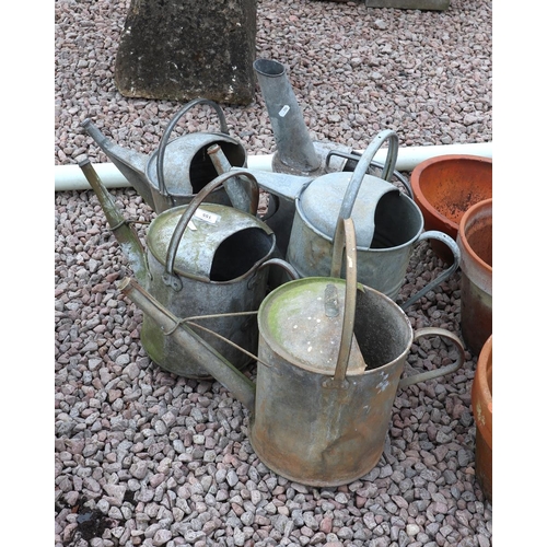 155 - 5 galvanised watering cans