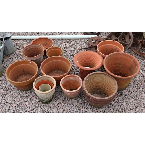 156 - Collection of terracotta plant pots