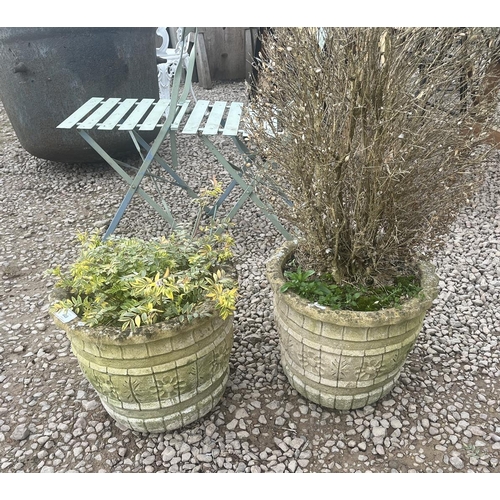 449 - Pair of circular stone planters with plants