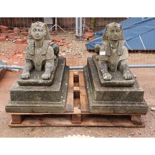 532 - Pair of recon stone Sphinx's on plinths - Approx height: 70cm