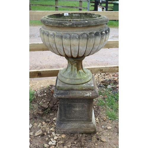 552 - Large stone pedestal planter on plinth - Approx height: 113cm