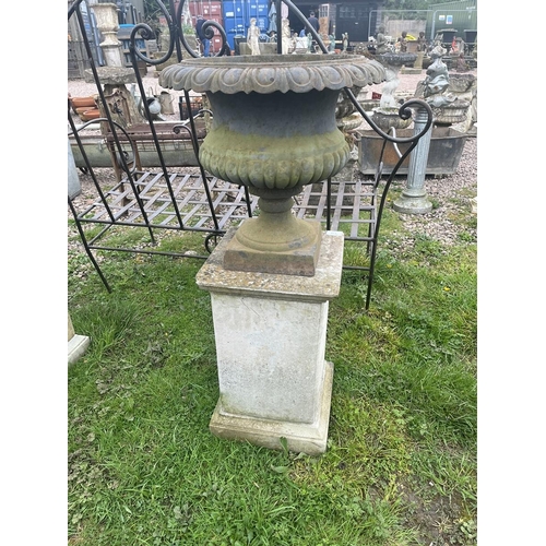 118 - Pair of cast iron pedestal planters on stone bases