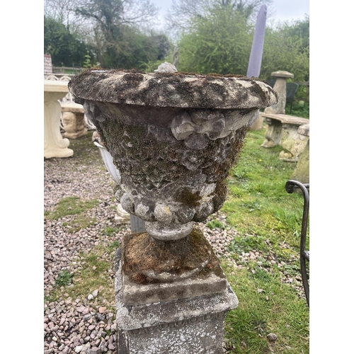 123 - Antique pedestal planter on plinth