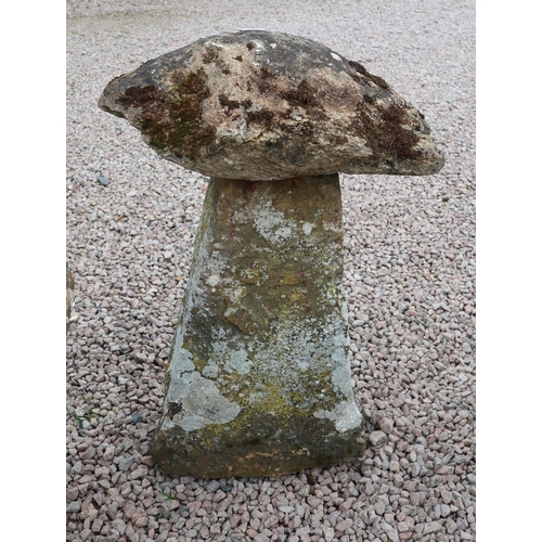 163 - Antique staddle stone