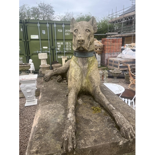 407 - Impressive pair of stone Kingsale Hounds on plinths.
These Great Danes are in the style of the favou... 