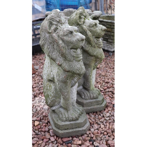 466 - Pair of stone sitting lions