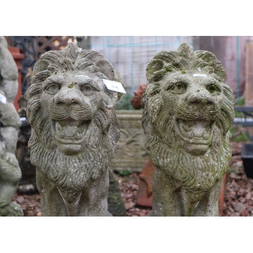 466 - Pair of stone sitting lions