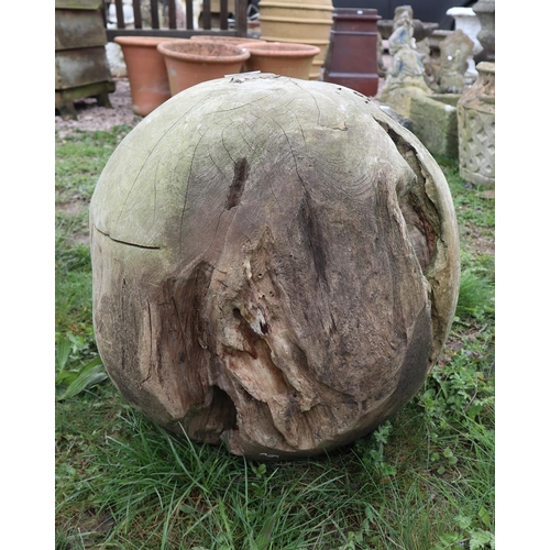 48 - Ornate root ball 