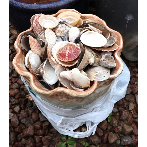 487 - Small urn, jug, planter and sea shells