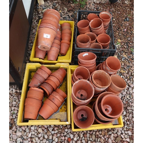 581 - Collection of terracotta pots