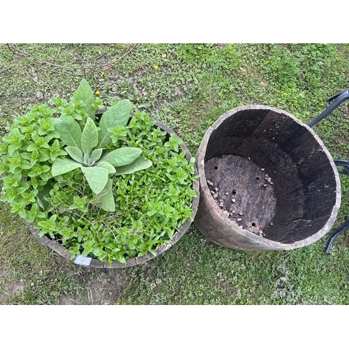 90 - Pair of sherry barrel planters