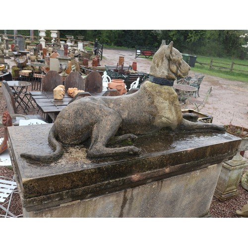 407 - Impressive pair of stone Kingsale Hounds on plinths.
These Great Danes are in the style of the favou... 