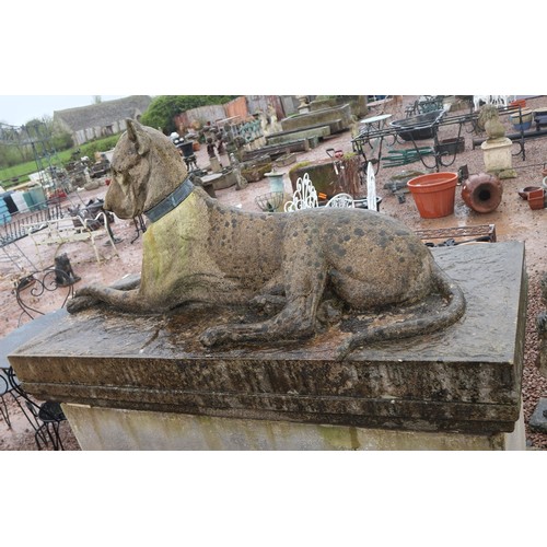 407 - Impressive pair of stone Kingsale Hounds on plinths.
These Great Danes are in the style of the favou... 