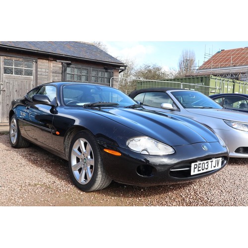 505 - 2003 Jaguar XK8 4.2 146,000 - Current owner has owned the car since 22/3/2011 (13 years) and it's be... 