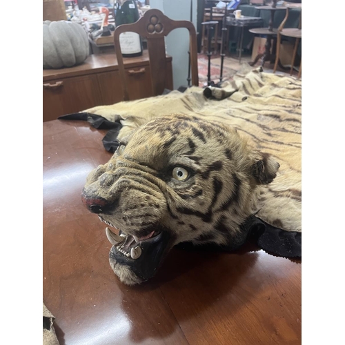 329 - Tiger hide floor throw