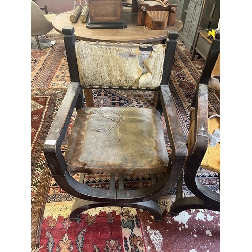 437 - Pair of X framed chairs upholstered with animal hides