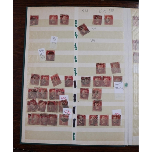 241 - Stamps - Great Britain stock book of 1d red plates, mixed condition