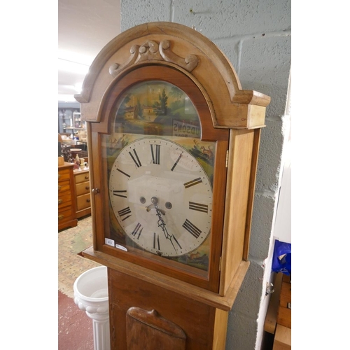 313 - Pine long cased clock